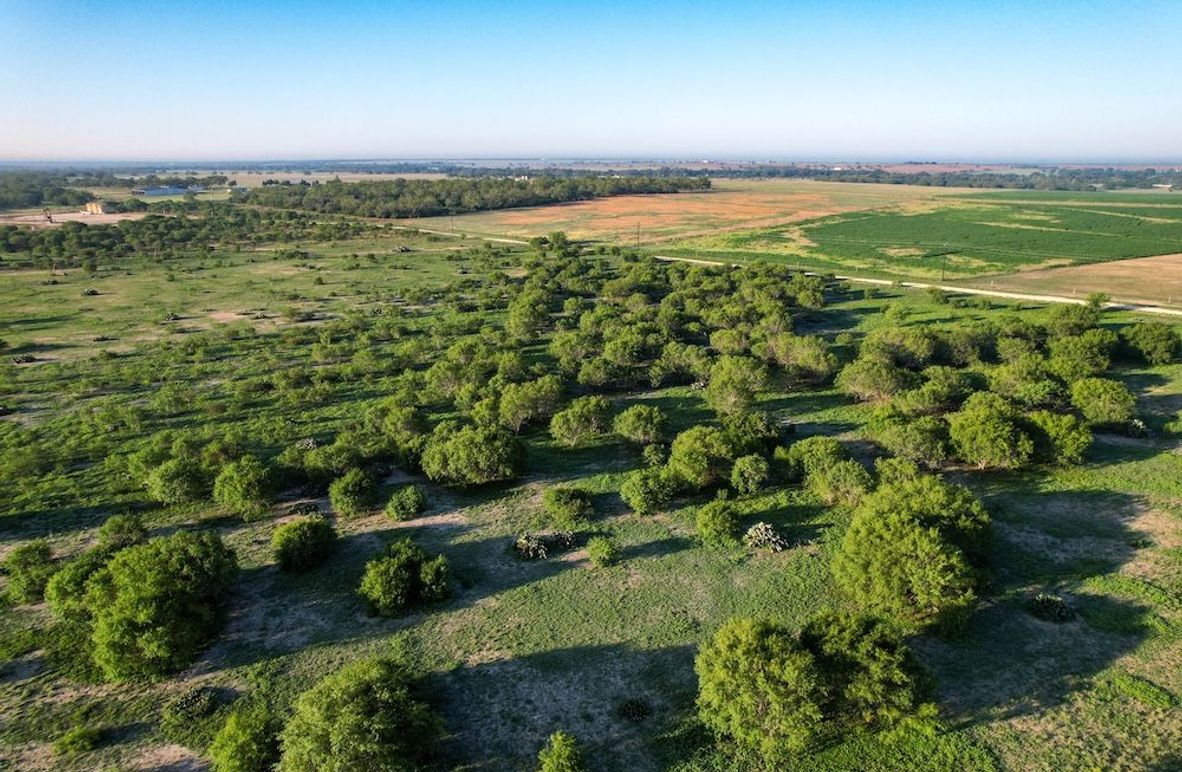 DJI_0864