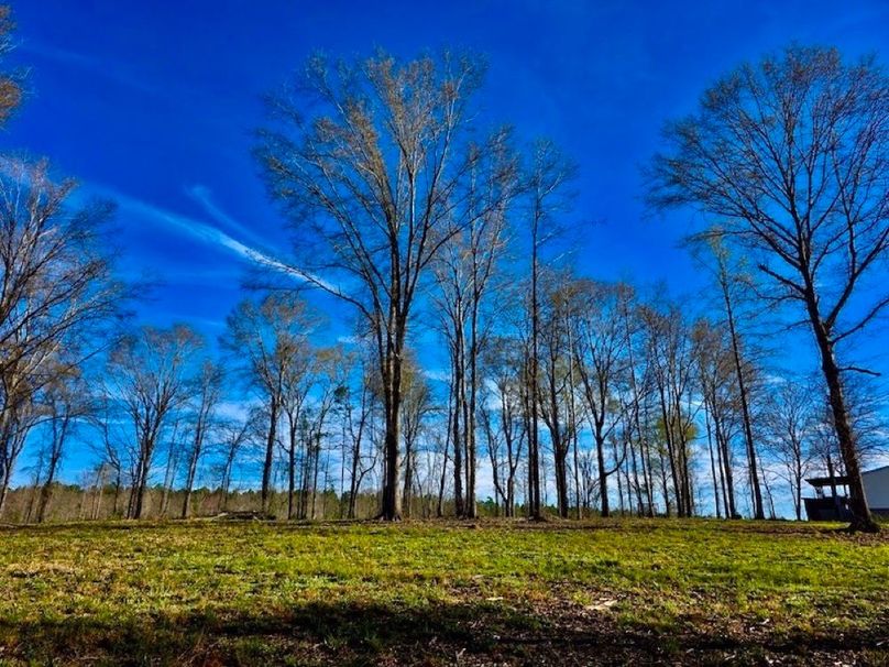 36E63BAF-C527-45F9-8A5B-55CDAE882790_1_105_c-2