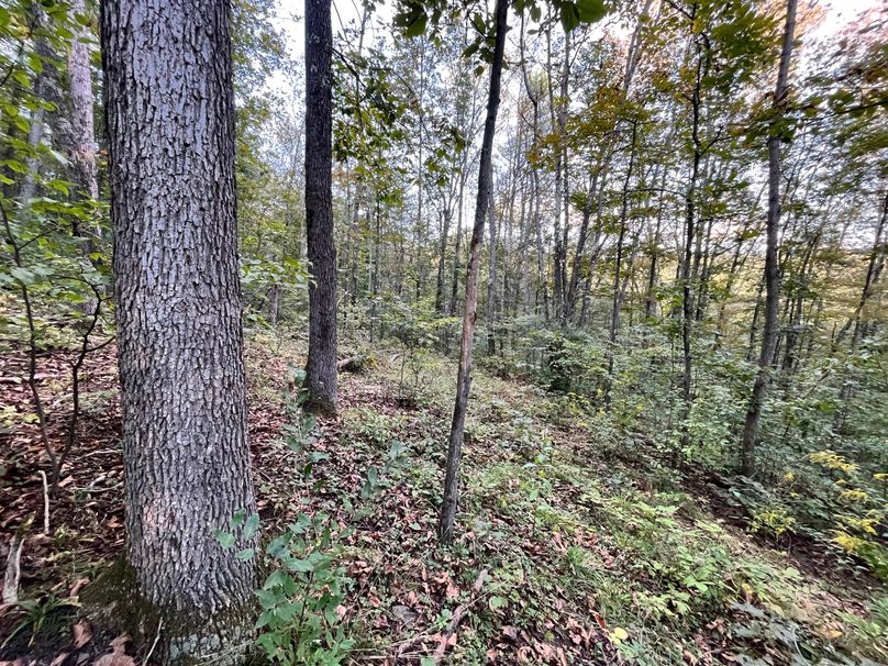 Tioga_20_Peters Photo 27