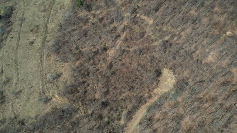 dji_fly_20260330_112732_223_1774884963437_photo