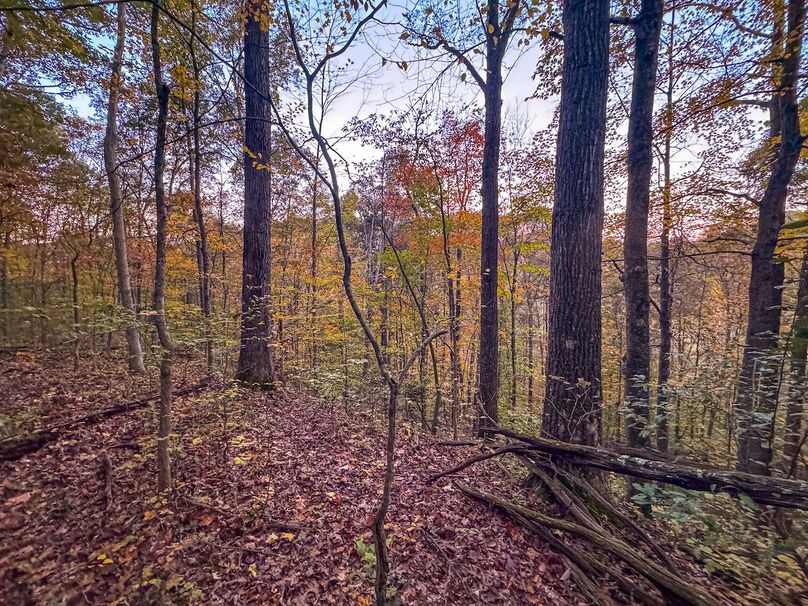 Wirt, WV 43 AC Berry-10