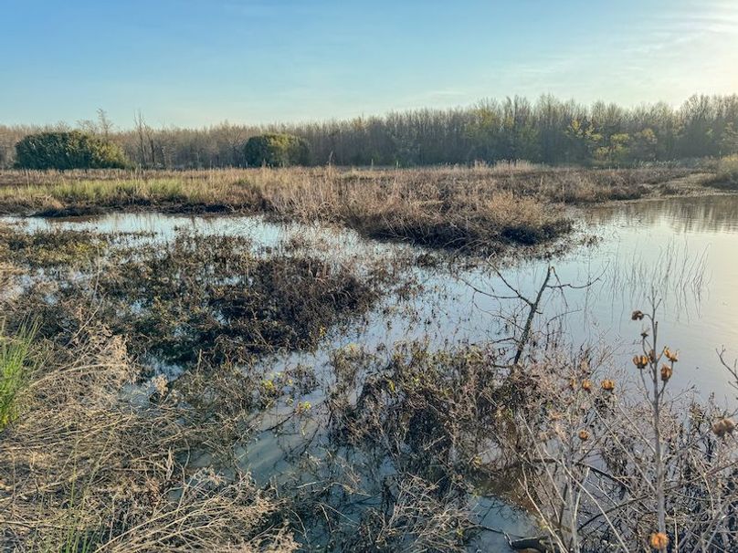 Panola 164.7 SPI Land Ventures-46