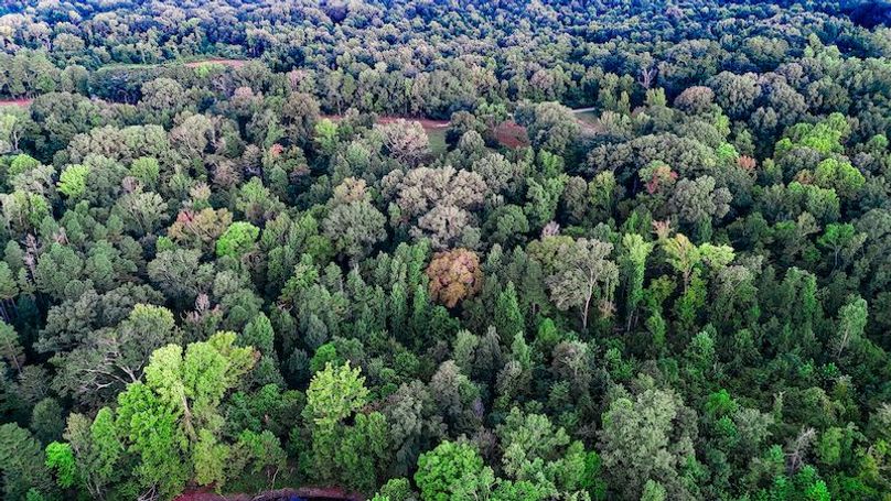 Hinds Co - 78 - Newman-20