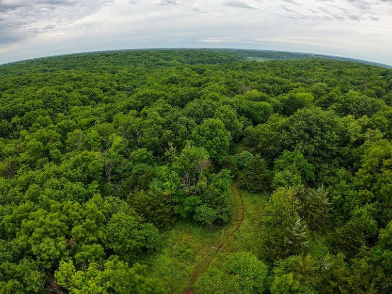 DJI_20250630071839_0315_D