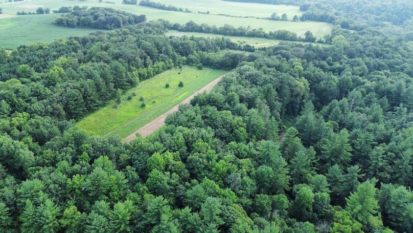 dji_fly_20240715_182044_683_1721085659102_photo_optimized