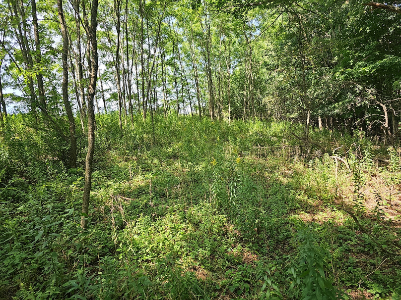 photo_e6e20163-c52f-424c-8582-4195072f5ee4