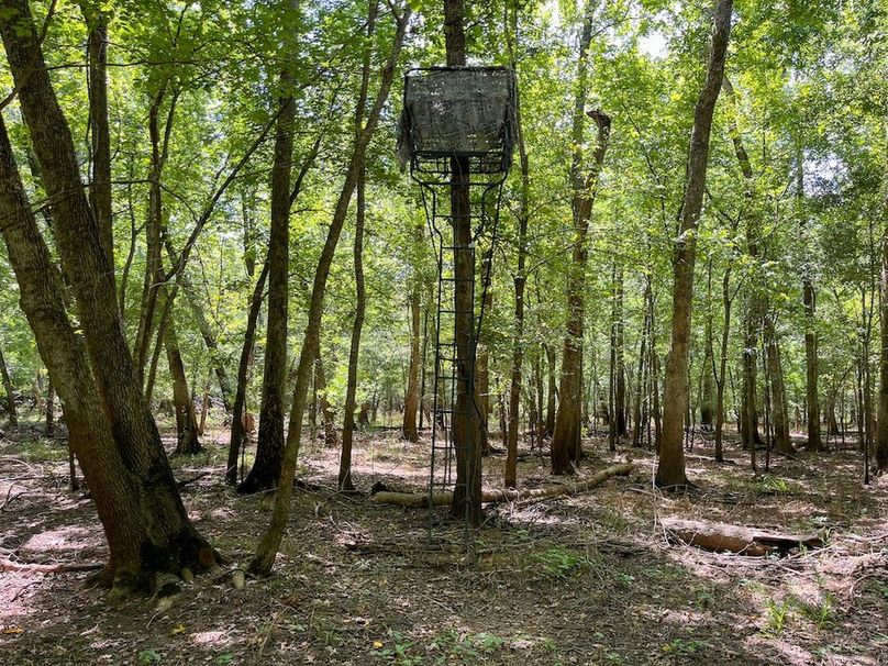 33 Leon Co. 117ac-25