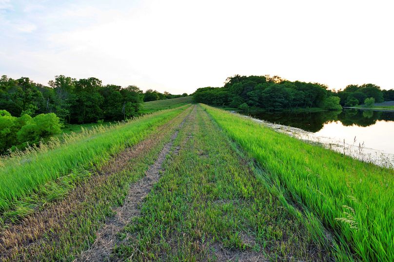 Harrison MO 480 Pro Photo_177 (23)