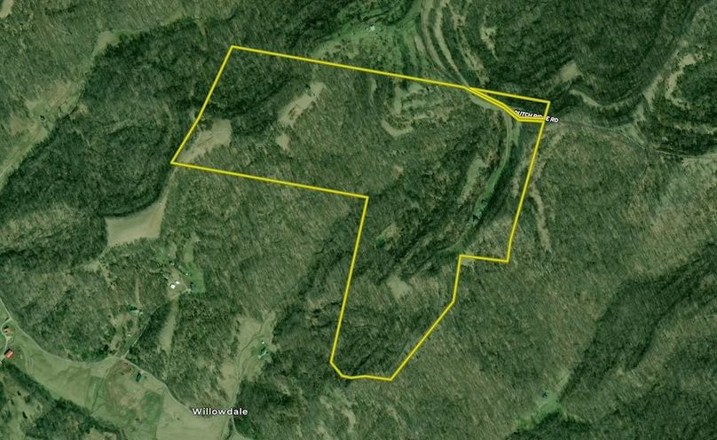 Screenshot 2025-07-18 at 11.50.14 AM