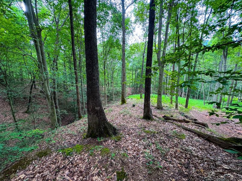 Tyler, WV 46 Lemasters -12