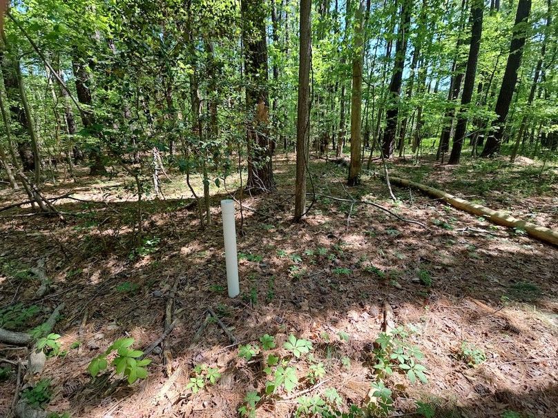 2.72ac_St Marys Rd_QAnnes_10