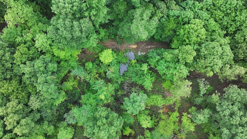 dji_fly_20240629_123828_0215_1719679397848_photo