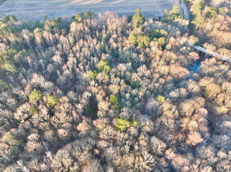 dji_fly_20250222_073848_429_1740228279514_photo