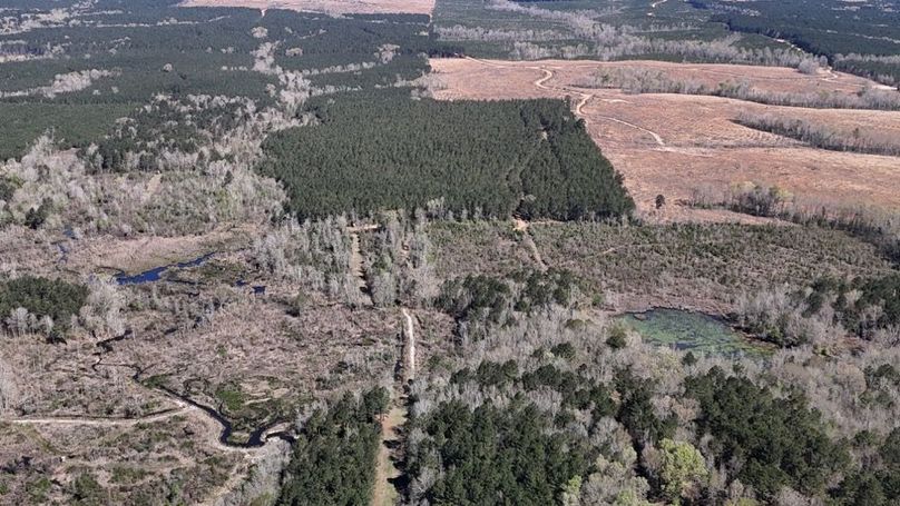 DJI_20260318002646_0134_D