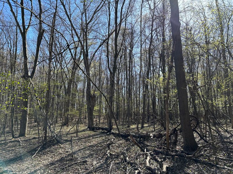 1831C6CD-B51C-4FA3-A0A4-F73DBA7D6B41