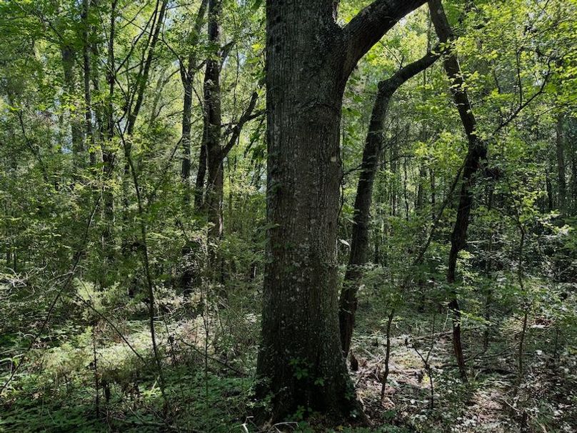 DC55F015-878E-48D7-B363-86479B46CFD7