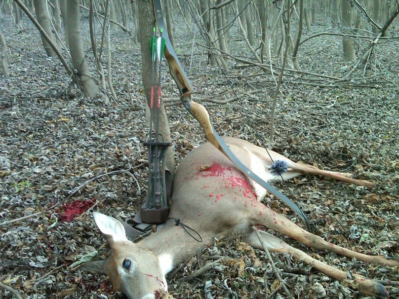 IMG00187-20111015-1744