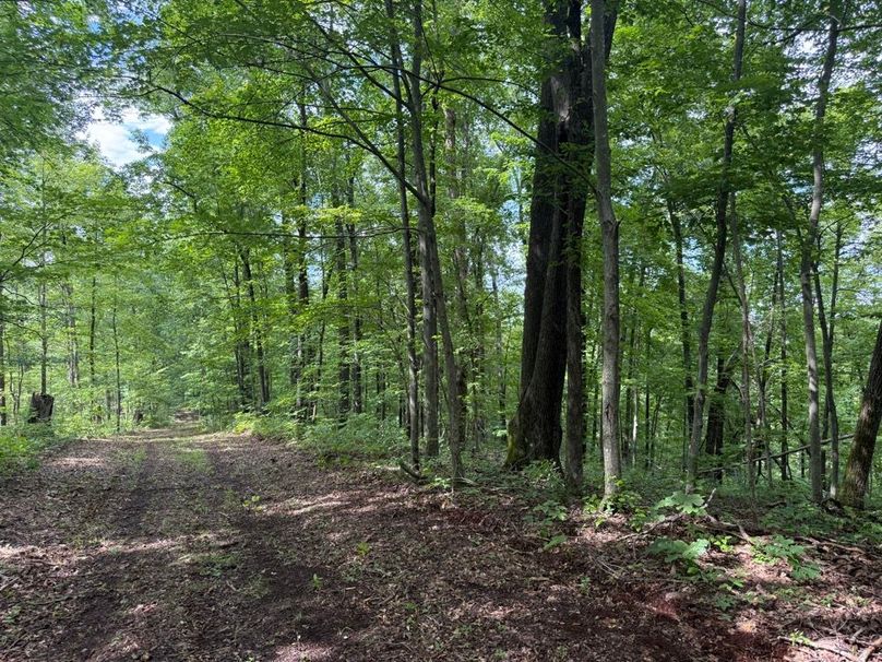 022 perimeter trail area in the west part of the property