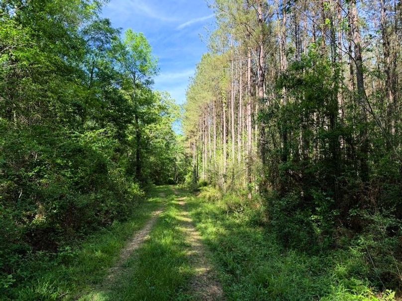 4EAFD44A-59B7-4BF3-BDB6-780393705BB9_1_105_c