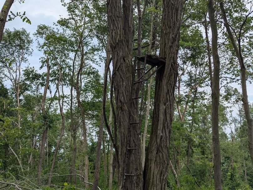 PXL_20240625_184641597