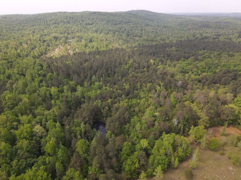 DJI_0465