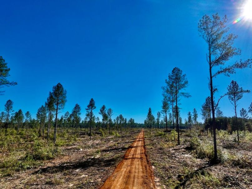 549CD711-4353-4334-9BD3-C55852315E4E_1_201_a