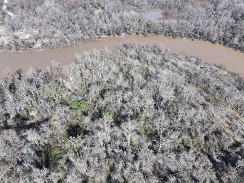 dji_fly_20260127_125630_0984_1769549083151_photo