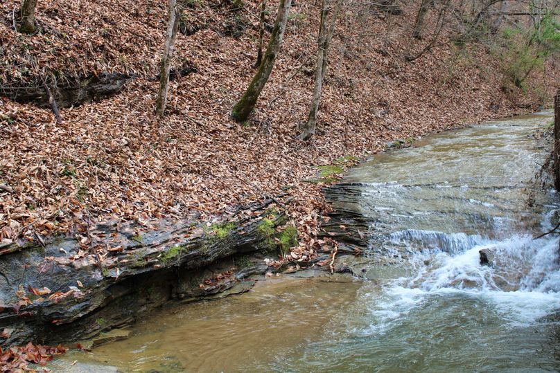 002 rushing waterfall of Perkins Branch