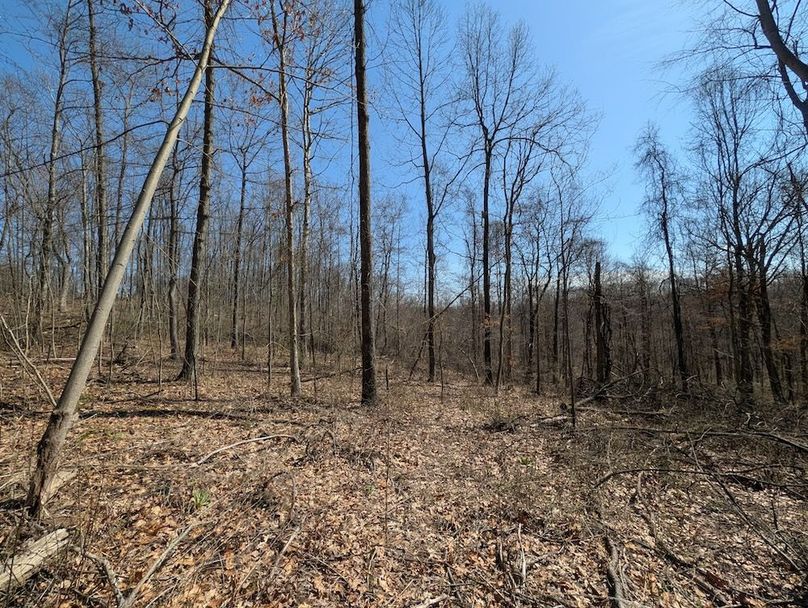 PXL_20260326_165026905