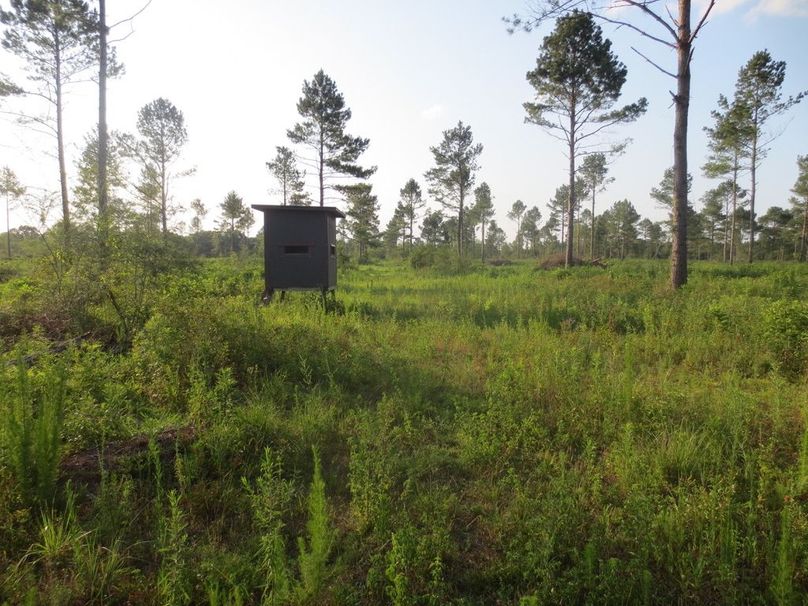 701EEB7B-9274-48CA-9BCA-A71B450C49E7_1_105_c