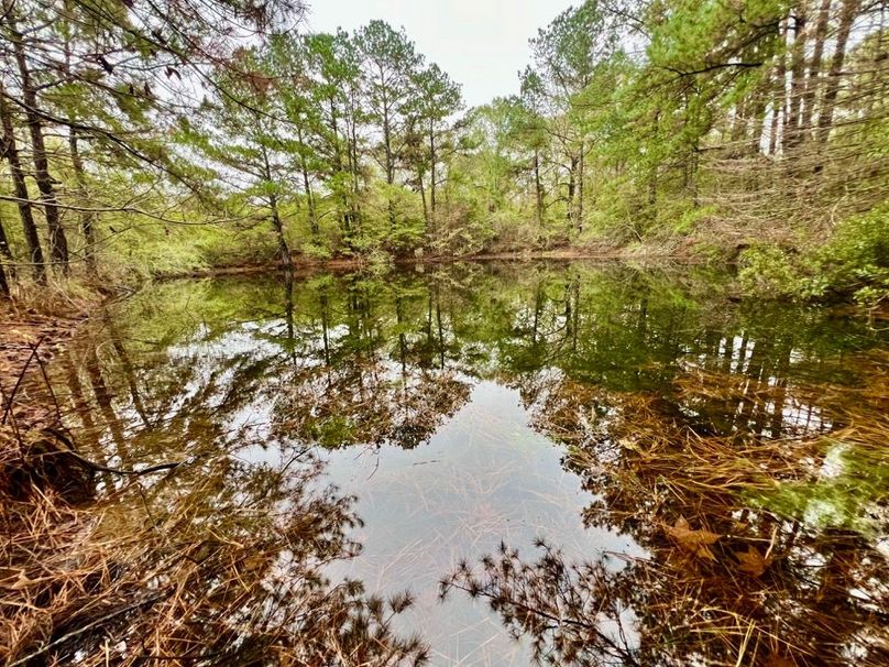 7E2C2555-EBEF-4B90-83BE-374FEAD619DE_1_201_a