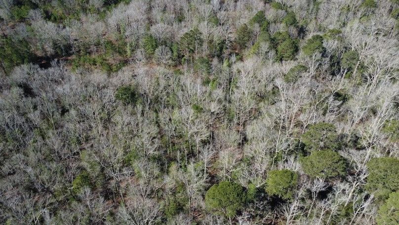 DJI_0129