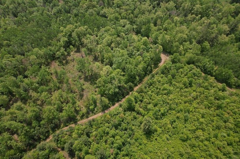 DJI_0158
