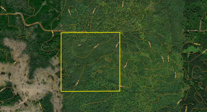 Screenshot 2025-10-06 at 12.30.19 PM