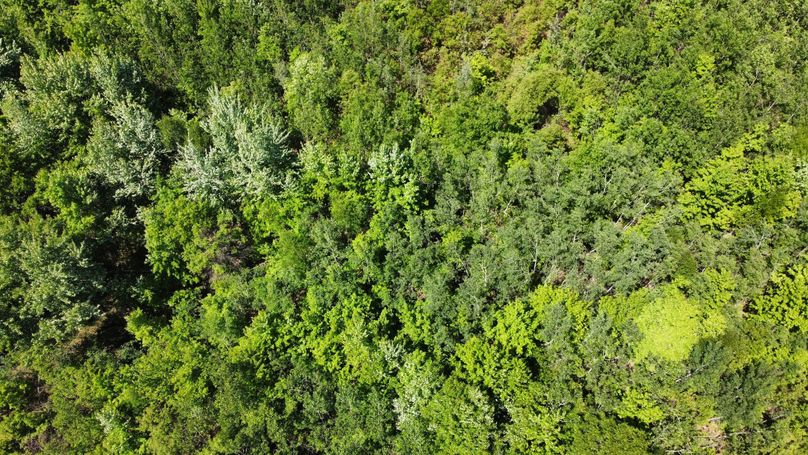 dji_fly_20230530_141838_539_1685474459886_photo_optimized 2