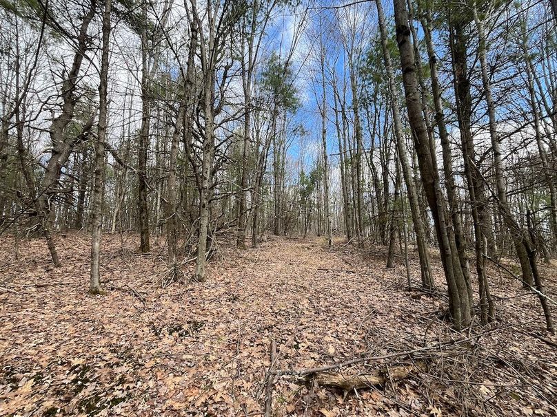 Chemung_116.3_Stamm Photo 48