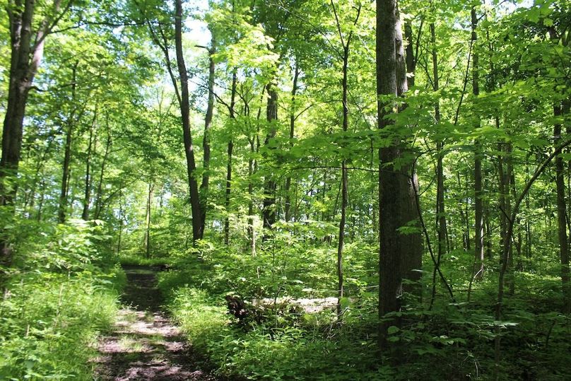 trail 13