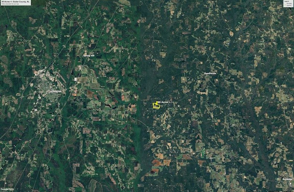 Aerial #6 Approx. 95 Acres Butler County, AL