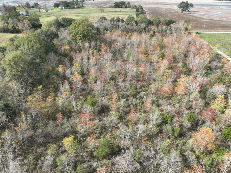 dji_fly_20231203_113624_537_1701631177549_photo