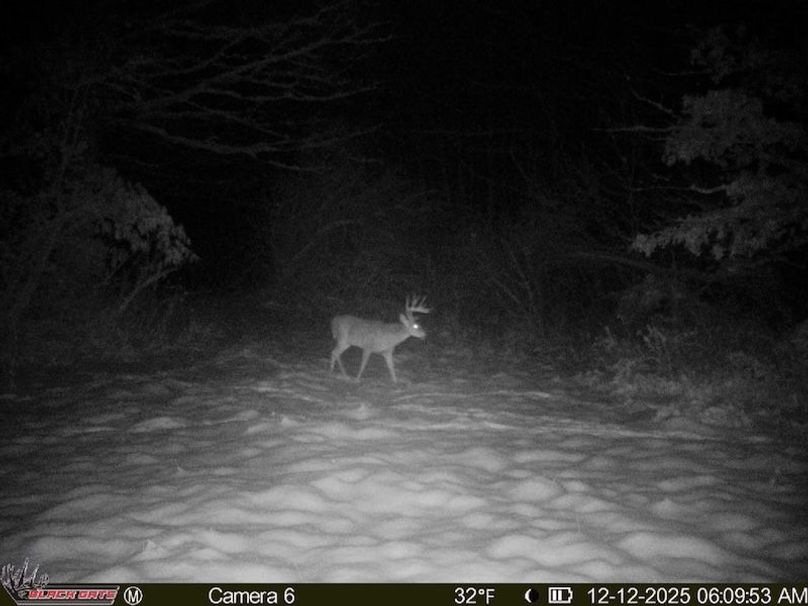 9382CE6F-8BEF-4089-AD77-760691A735F3