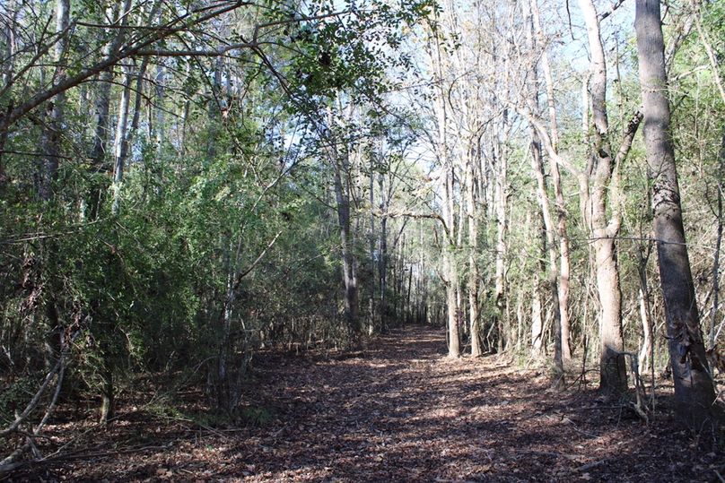 F6103916-A2D9-4E4F-AA8C-9436CCC2092B_1_105_c