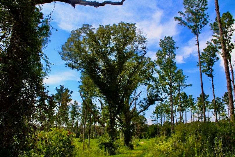 B8700C8C-333F-4B2F-B5A2-24C604A6654A_1_105_c