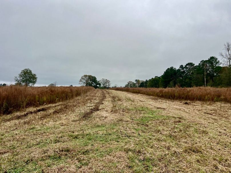 FFEEE0D6-C625-4881-89EF-13DEF3DA46B0_1_201_a