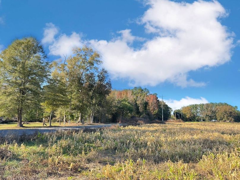 CE4DFE4A-1645-4652-855E-3F3804CC6641