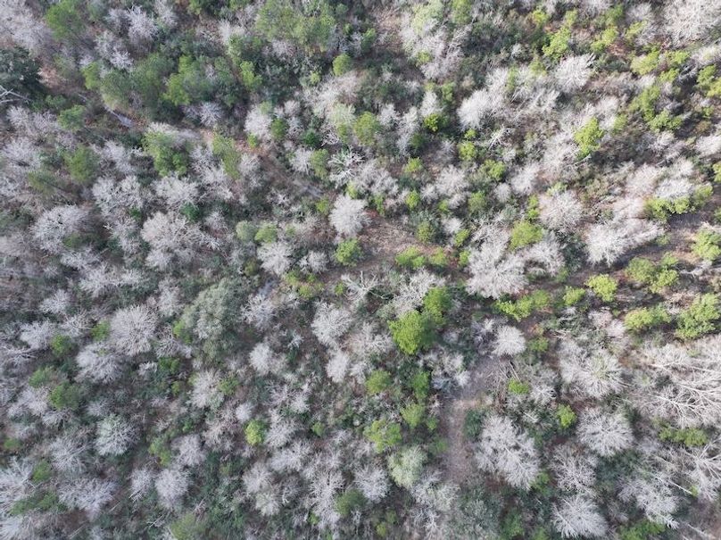 dji_fly_20260212_141006_0063_1771284241031_photo