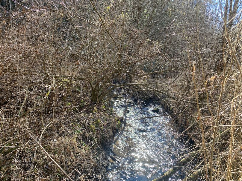 Cherokee 7.47 Herzog-04