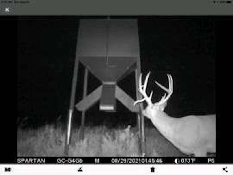 pulse-image-1658112863271