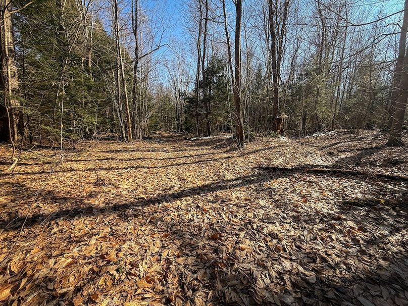 Oswego_16.32_Phillips Photo 22