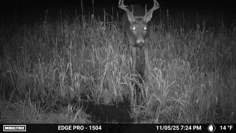 image639020106428050490