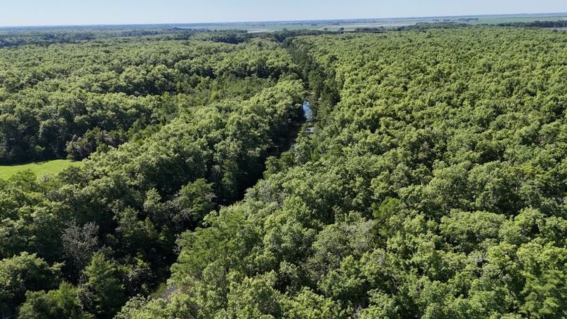 dji_fly_20260513_231040_0206_1778687802239_photo
